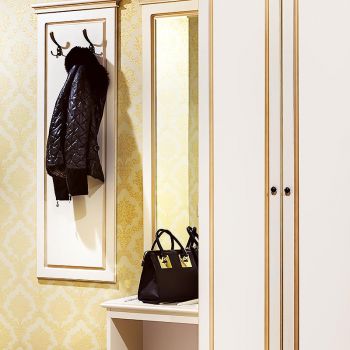 Photos of hangers, mirrors, shelves for shoes, hotel wardrobe from series of furniture Voyage